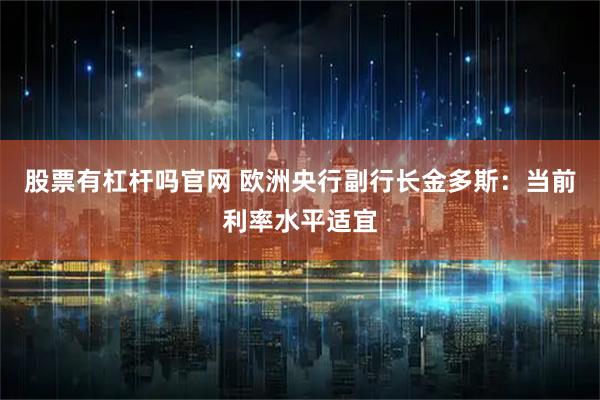 股票有杠杆吗官网 欧洲央行副行长金多斯：当前利率水平适宜