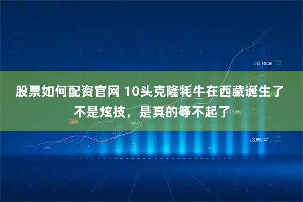 股票如何配资官网 10头克隆牦牛在西藏诞生了 不是炫技，是真的等不起了