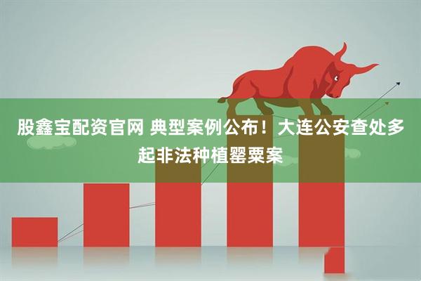 股鑫宝配资官网 典型案例公布！大连公安查处多起非法种植罂粟案