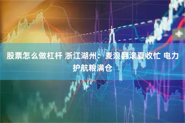 股票怎么做杠杆 浙江湖州：麦浪翻滚夏收忙 电力护航粮满仓